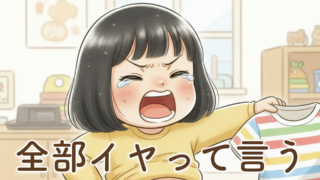 2歳のイヤイヤ期のリアル記録|増えていくイヤイヤと向き合う日々